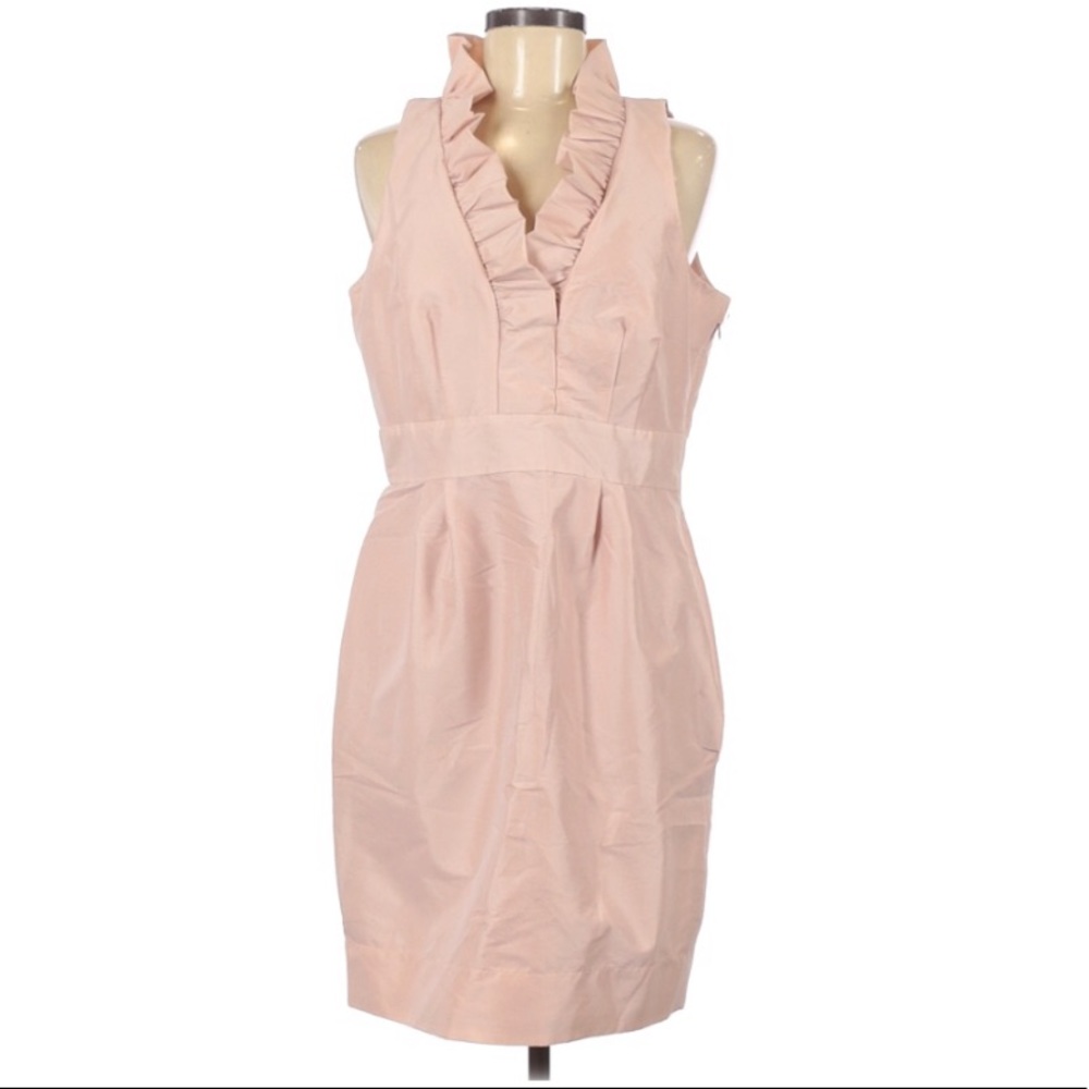 Just...Taylor Blush Ruffle Neck Dress